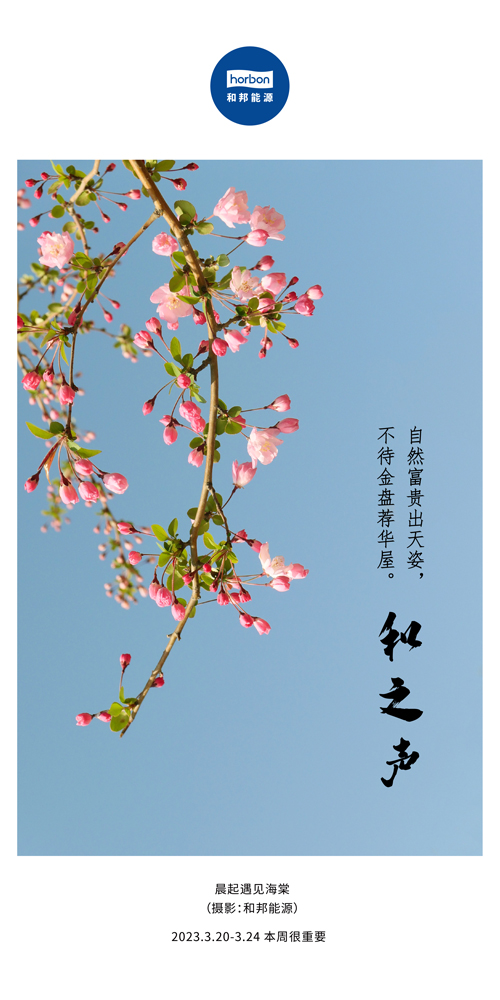 1680577238854280Xfna.jpg 74-和之声(本周很沉要)2022.3季度推送用.jpg