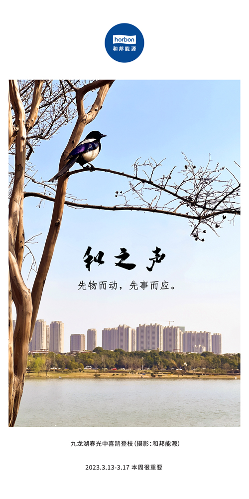 1680578197493162ntoz.jpg 73-和之声(本周很沉要)2022.3季度推送送用.jpg