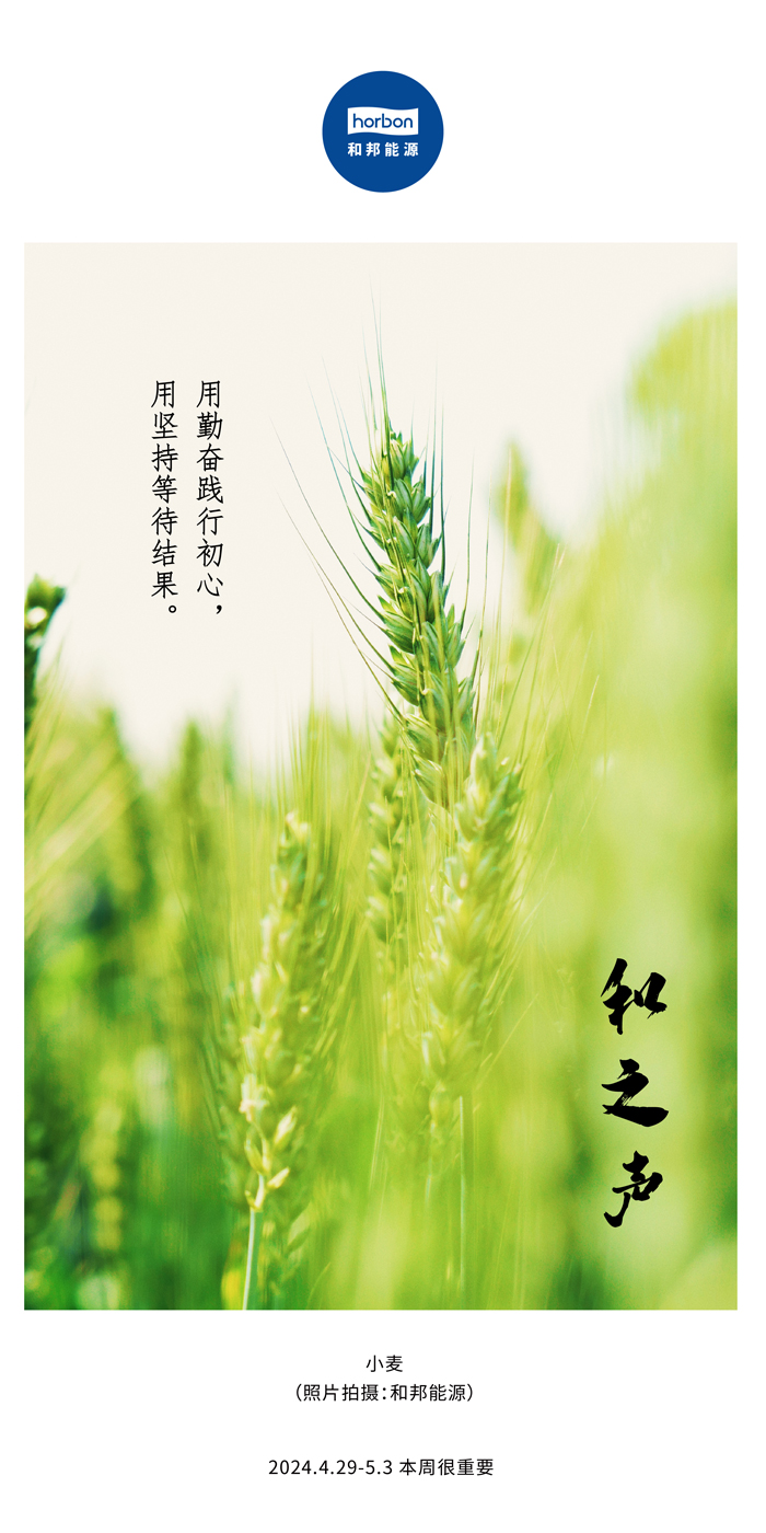 【和之声】用勤恳践行初心，用对峙期待了局。（总第132期）2024.4.29-5中文改幼季度推送用.jpg