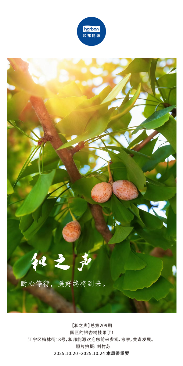 【和之声】耐心期待，美好终将到来。-(总第209期）2025.10.20中文导出季度推送用.jpg